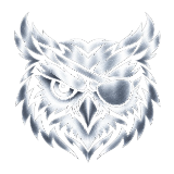 Logo Operação PMPE
